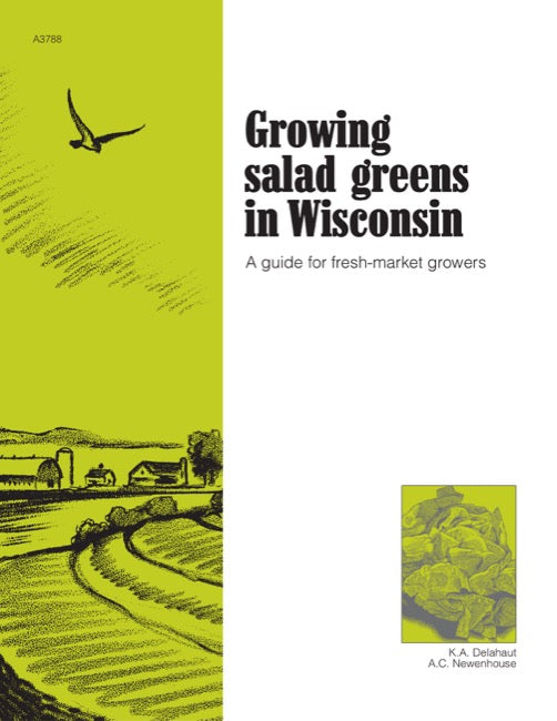 Growing Salad Greens in Wisconsin