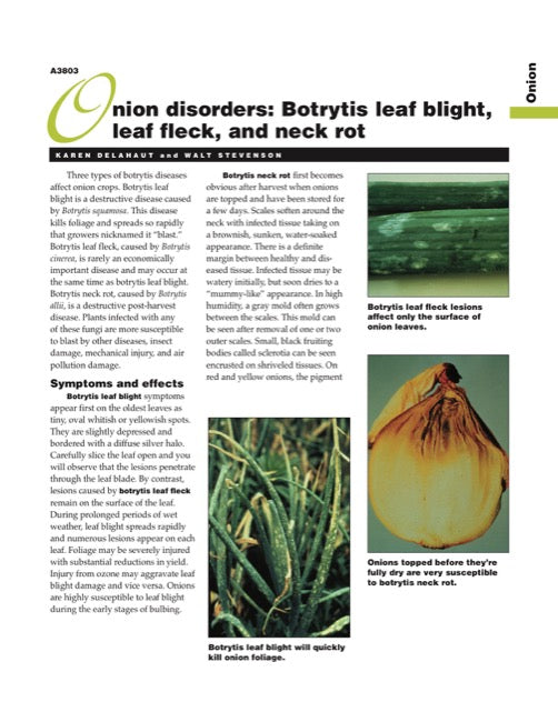 Onion Disorders: Botrytis Leaf Blight, Leaf Fleck, and Neck Rot