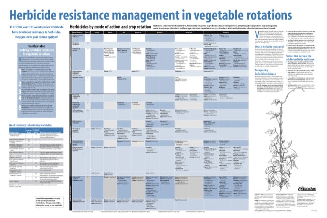 Herbicide Resistance Management in Vegetable Rotations