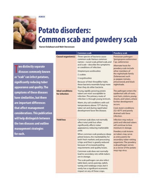 Potato Disorders: Common Scab and Powdery Scab — The Learning Store