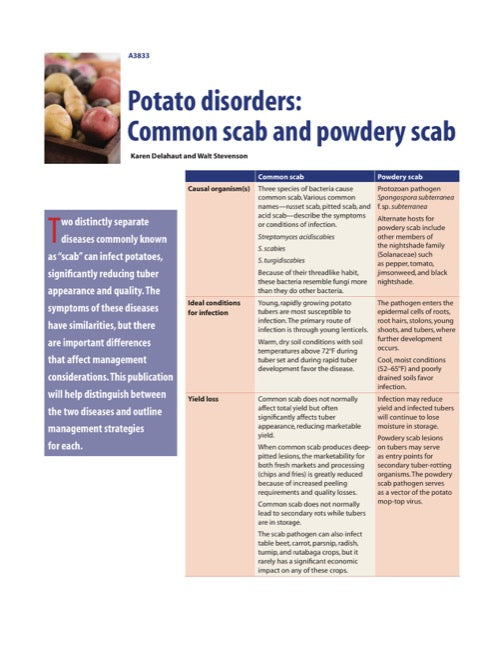 Potato Disorders: Common Scab and Powdery Scab
