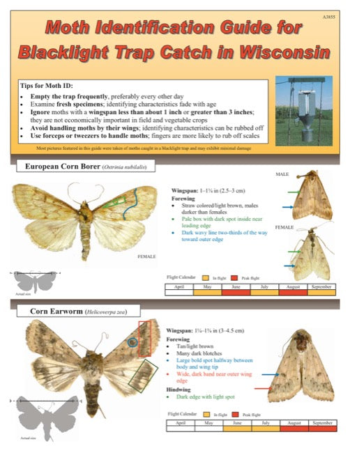 Moth Identification Guide for Blacklight Trap Catch in Wisconsin