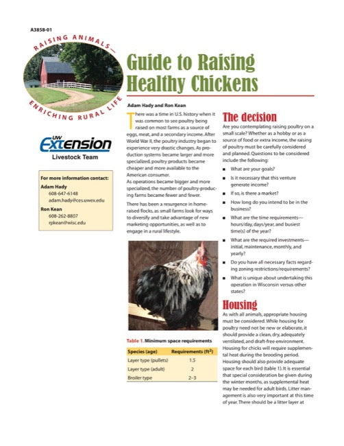 Guide to Raising Healthy Chickens
