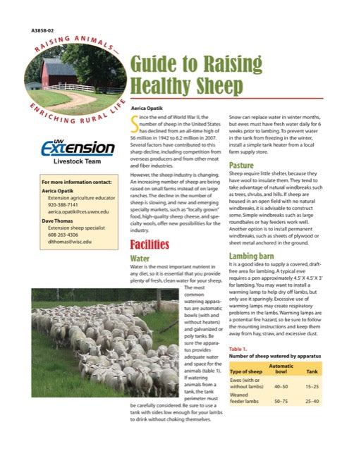 Guide to Raising Healthy Sheep