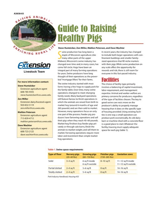 Guide to Raising Healthy Pigs — The Learning Store