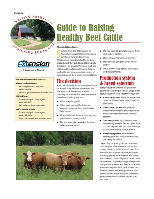 Guide to Raising Healthy Beef Cattle
