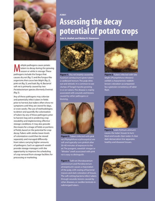 Assessing the Decay Potential of Potato Crops