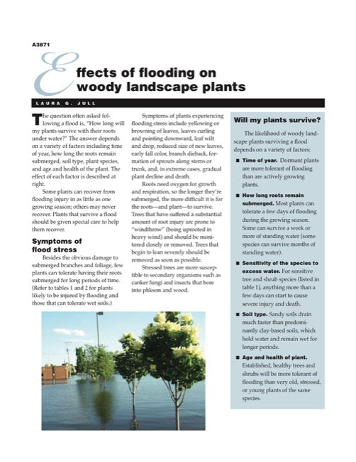 Effects of Flooding on Woody Landscape Plants