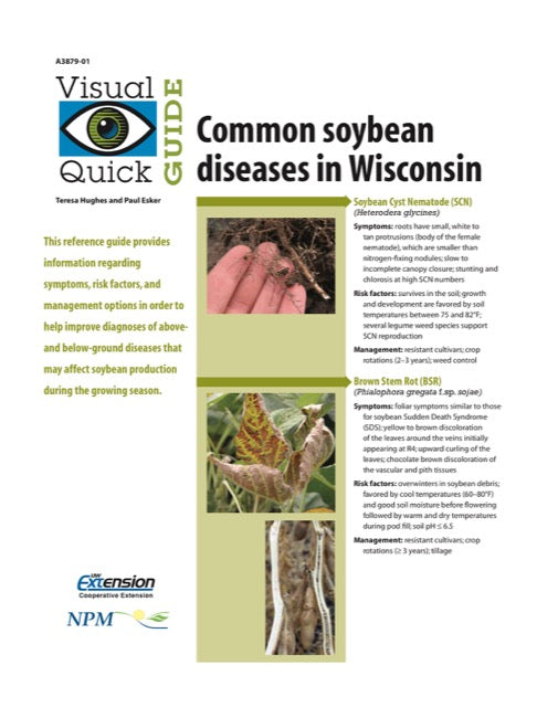 Visual Quick Guide to Common Soybean Diseases in Wisconsin
