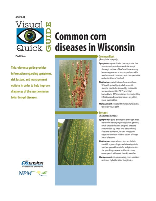 Visual Quick Guide to Common Corn Diseases in Wisconsin