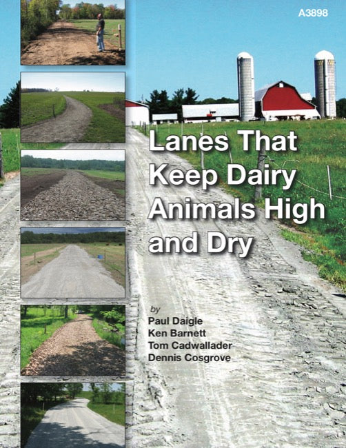 Lanes That Keep Dairy Animals High and Dry