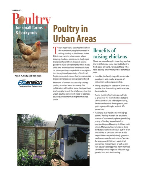 Poultry in Urban Areas
