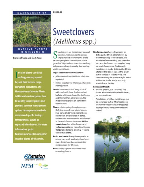 Sweetclovers