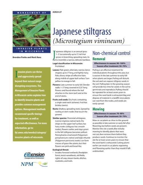 japanese stiltgrass herbicide Japanese Stiltgrass — The Learning Store