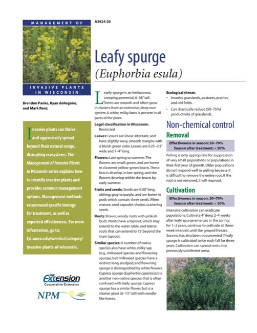 leafy spurge herbicide control Leafy Spurge — The Learning Store