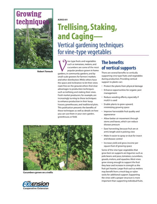 Trellising, Staking, and Caging