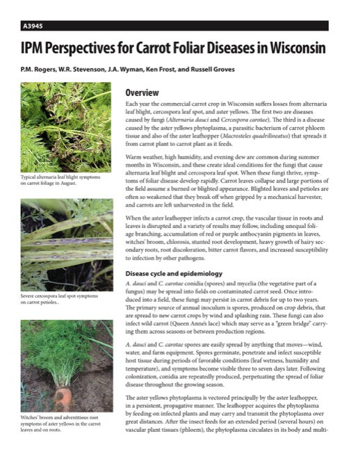 IPM Perspectives for Carrot Foliar Diseases in Wisconsin