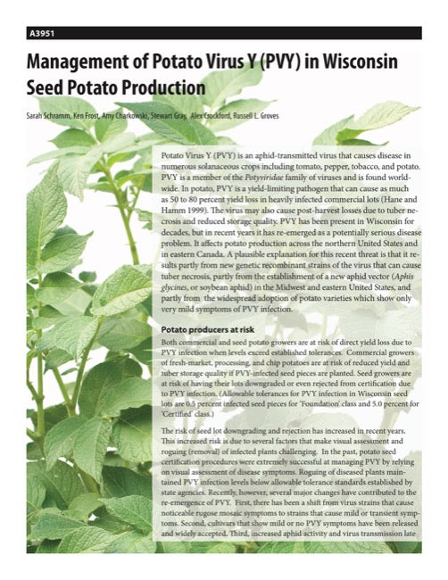Management of Potato Virus Y (PVY) in Wisconsin Seed Potato Production