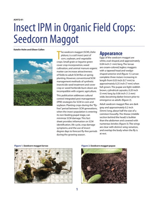 Insect IPM in Organic Field Crops: Seedcorn Maggot