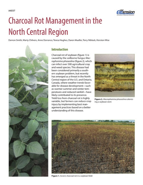 Charcoal Rot Management in the North Central Region