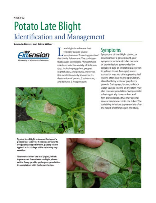 Potato Late Blight — The Learning Store