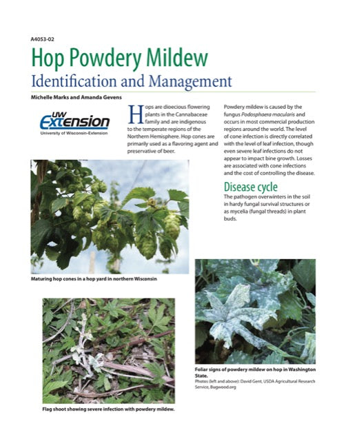 Hop Powdery Mildew