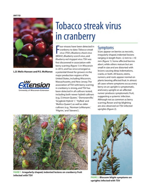 Tobacco Streak Virus in Cranberry
