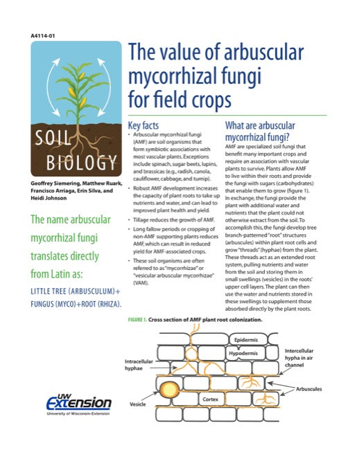 The Value of Arbuscular Mycorrhizal Fungi for Field Crops