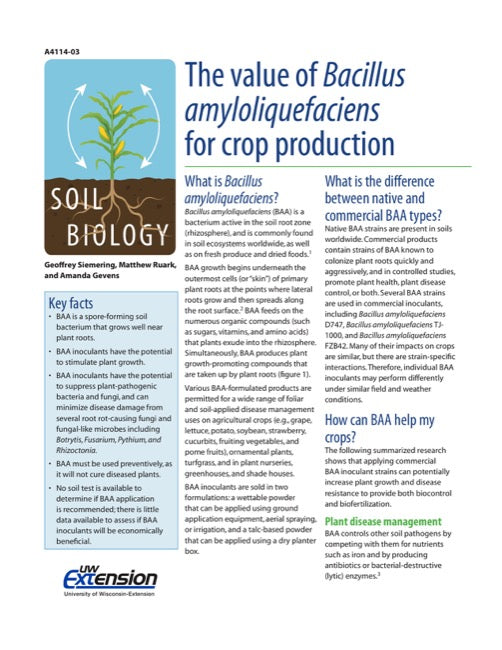 The Value of Bacillus amyloliquefaciens for Crop Production