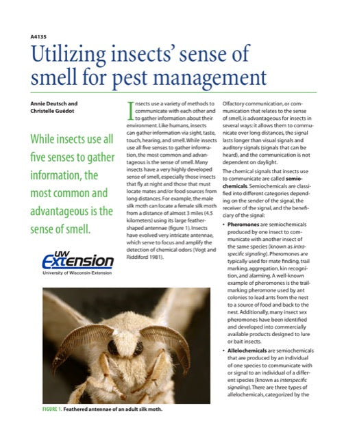 Utilizing Insects’ Sense of Smell for Pest Management