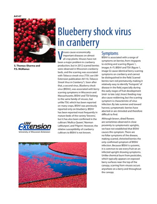 Blueberry Shock Virus in Cranberry