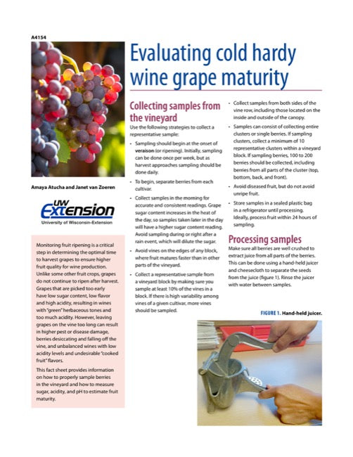 Evaluating Cold Hardy Wine Grape Maturity