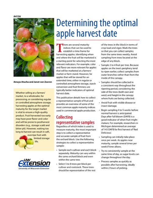 Determining the Optimal Apple Harvest Date