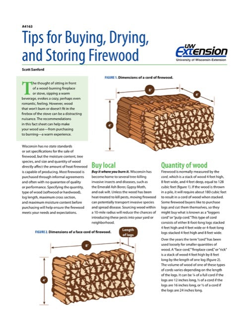 Tips for Buying, Drying, and Storing Firewood