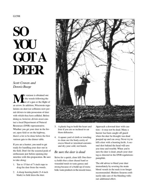 So You Got a Deer