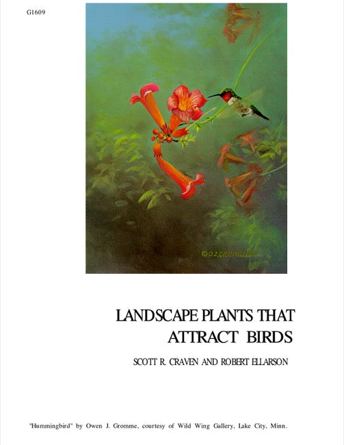 Landscape Plants that Attract Birds
