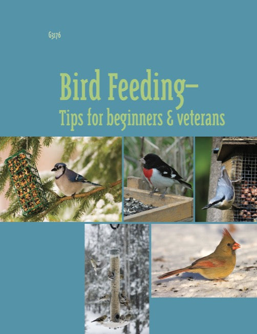 Bird Feeding: Tips for Beginners and Veterans