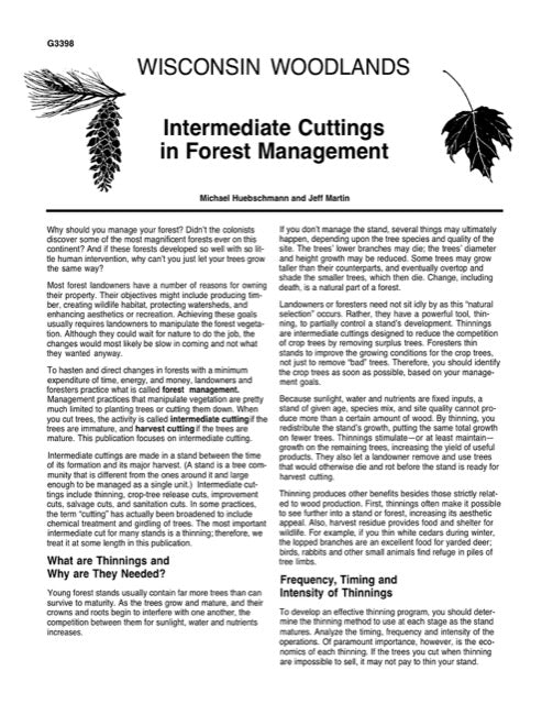 Intermediate Cuttings in Forest Management
