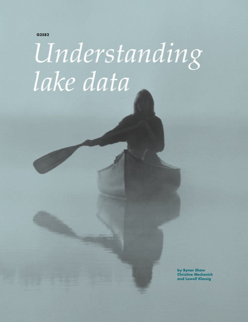 Understanding Lake Data