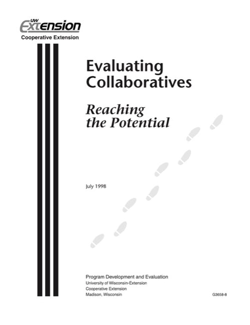 Planning a Program Evaluation: Worksheet — The Learning Store