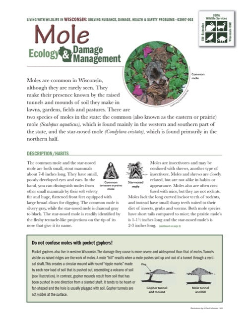 Mole Ecology and Damage Management