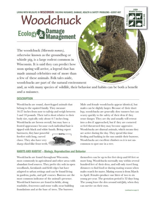 Woodchuck Ecology and Damage Management