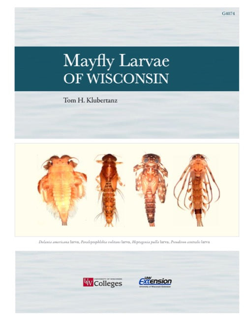 Mayfly Larvae of Wisconsin