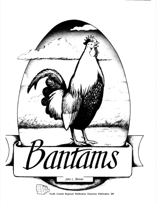Bantams